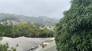 日本海嘯｜旅客靠Google翻譯緊貼撤離安排 直擊動物被抬出館外 引小童圍觀搧風