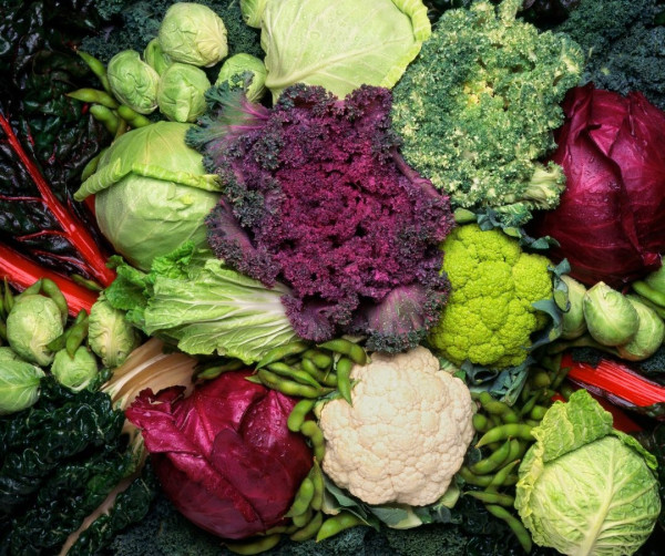 沈玉琳傳患急性肝衰竭引發腦水腫 醫生講解5成因 出現黃疸急就醫！