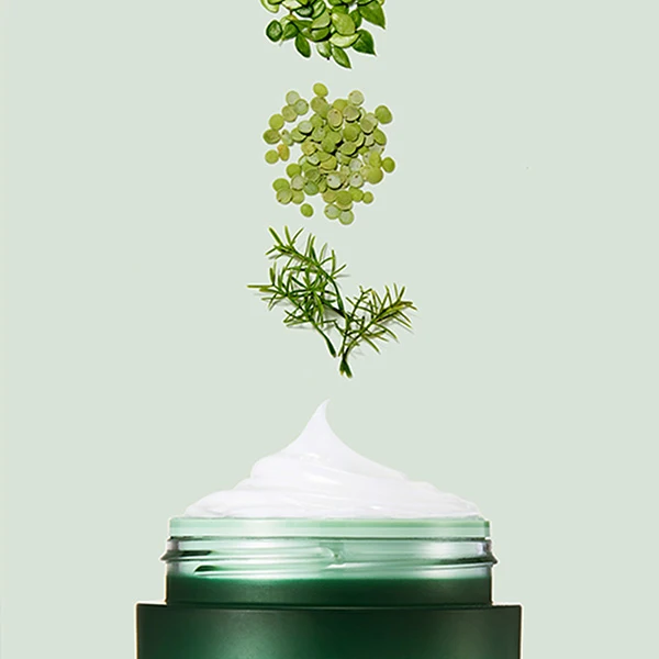 積雪草面膜推薦｜Laneige 積雪草舒緩修復睡眠面膜