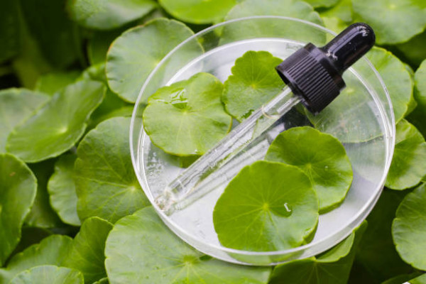 積雪草面膜推薦 圖片來源：iStock