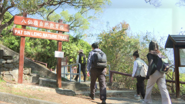 八仙嶺山火案｜調查小組主席郭Sir親揭事後搜獲「煙盒腰包」 山火調查報告首曝光