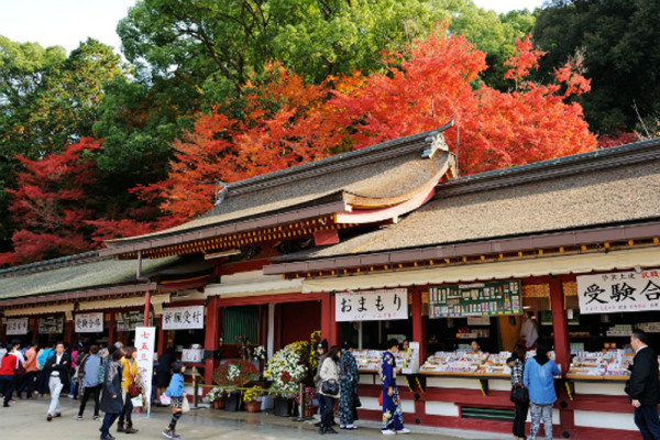 Chill玩遊輪！一口價全包 暢遊日本5大勝地 豪玩皇家加勒比遊輪設施 