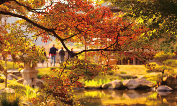 Chill玩遊輪！一口價全包 暢遊日本5大勝地 豪玩皇家加勒比遊輪設施 