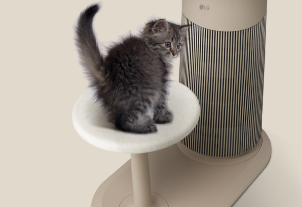 打造韓式喵界舒適圈！日本爆款「貓王椅」 LG PuriCare™ AeroCatTower登陸香港！