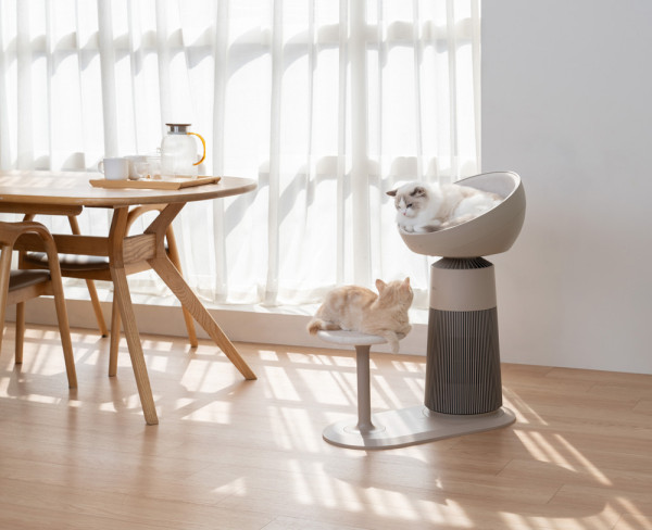 打造韓式喵界舒適圈！日本爆款「貓王椅」 LG PuriCare™ AeroCatTower登陸香港！