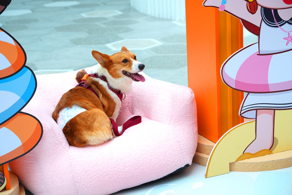 澳門葡京人 夏日玩樂、中秋團圓與LINE FRIENDS一站式食住購體驗 