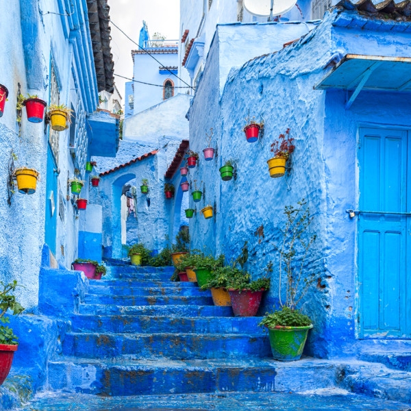 金怡假期 帶領港人深度遊冷門隱世秘景 同步繼續優化郵輪業務