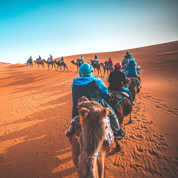 金怡假期 帶領港人深度遊冷門隱世秘景 同步繼續優化郵輪業務