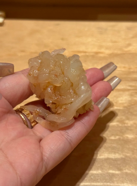 日本熱浪侵襲櫥窗食物熱到溶 今年第五度破40度！附遊日消暑攻略 