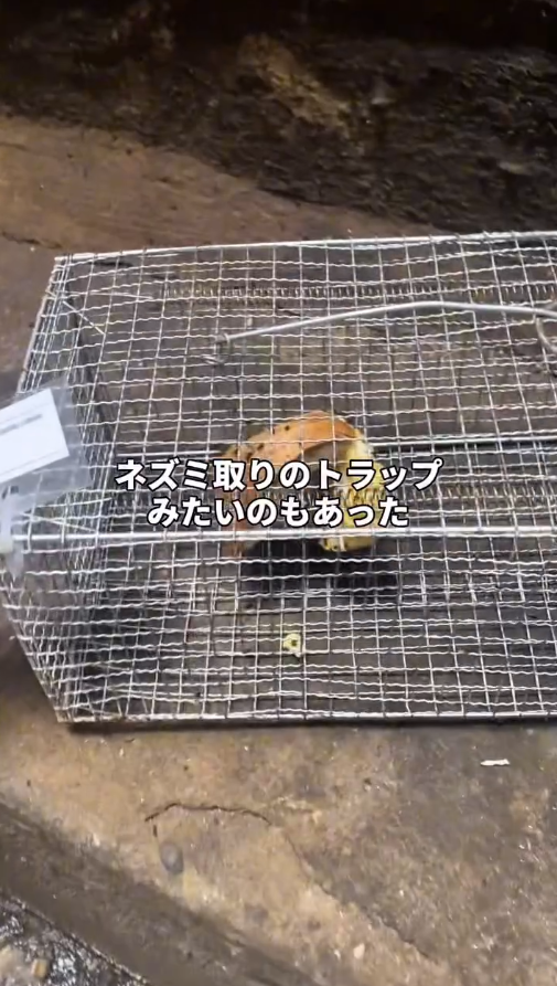 日本男實測香港「魔境」住宿 力數周邊3大問題:設施簡陋/環境髒亂