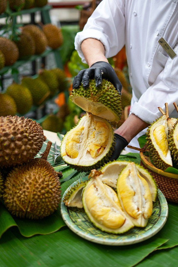 向澳門出發 2D1N夏日藝文美食快閃遊