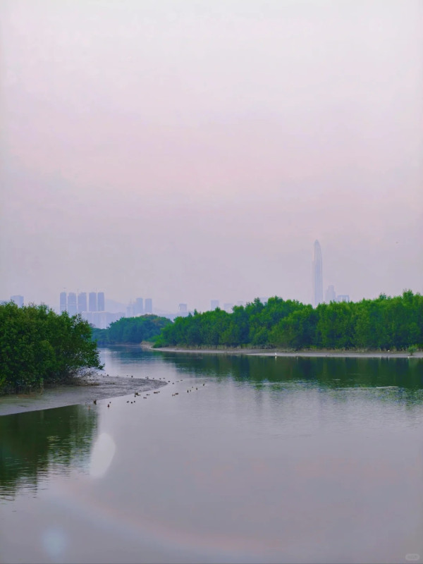香港遊車河好去處。圖片來源：旅發局、小紅書@我會烤紅薯、小紅書@Fang小途、小紅書@波屯小a、小紅書@MY隨心隨寫、小紅書@別雨心、小紅書@白板TabulaRasa、小紅書@世界還要被萌物統治多久、小紅書@任悠悠、小紅書@MYX、小紅書@ivory-cc、小紅書@超級超級有米、小紅書@麻辣燙不加辣加香菜、小紅書@蓋了個帽兒