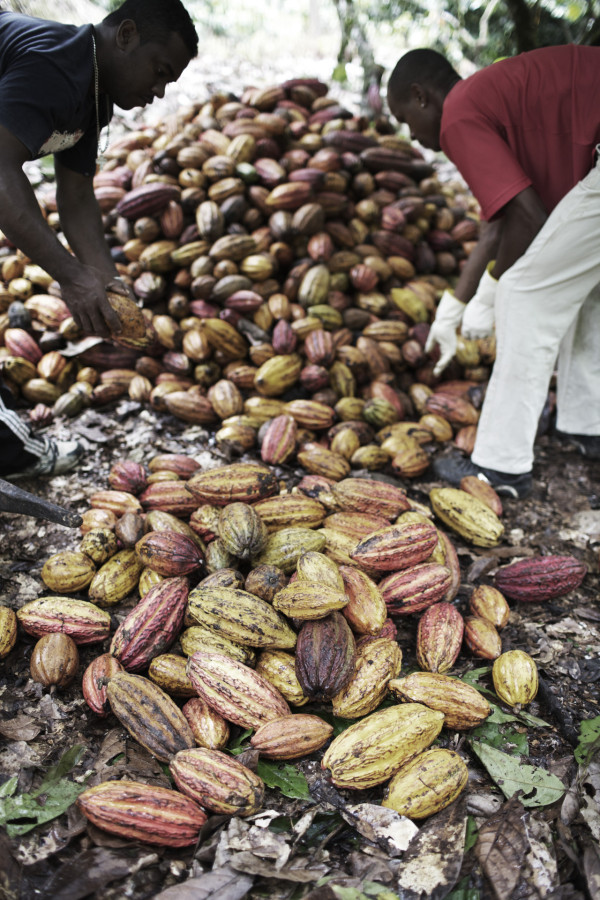 Pierre Marcolini登陸中環ifc商場 獲獎黑朱古力+法式手工馬卡龍