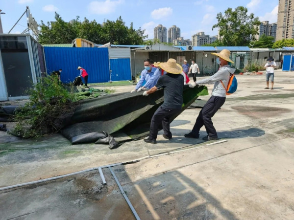 基孔肯雅熱|佛山確診病例破6000宗!有居民稱被「強行破門滅蚊」引憂慮