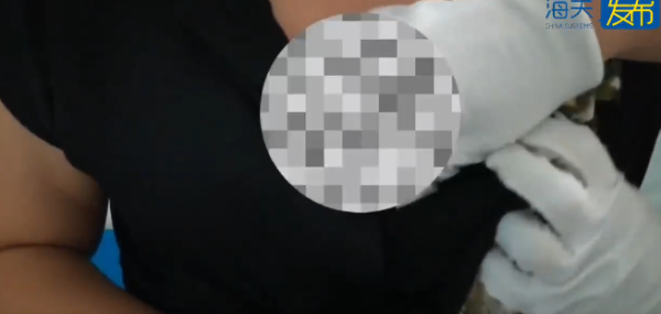 有片｜市民帶瀕危物種入境遭截獲 女子將4條活蛇藏內衣/旅客用1物裝眼鏡蛇 