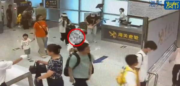 有片｜市民帶瀕危物種入境遭截獲 女子將4條活蛇藏內衣/旅客用1物裝眼鏡蛇 