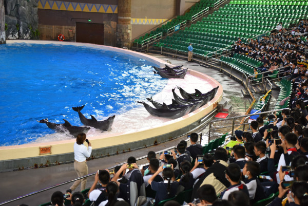 珠海5大親子好去處。資料/圖片來源：KKday、Trip.com、長隆飛船樂園、長隆海洋王國、小紅書@夏天的雨、小紅書@自轉陀螺