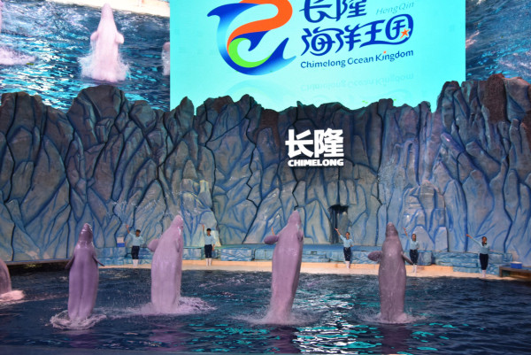 珠海5大親子好去處。資料/圖片來源：KKday、Trip.com、長隆飛船樂園、長隆海洋王國、小紅書@夏天的雨、小紅書@自轉陀螺