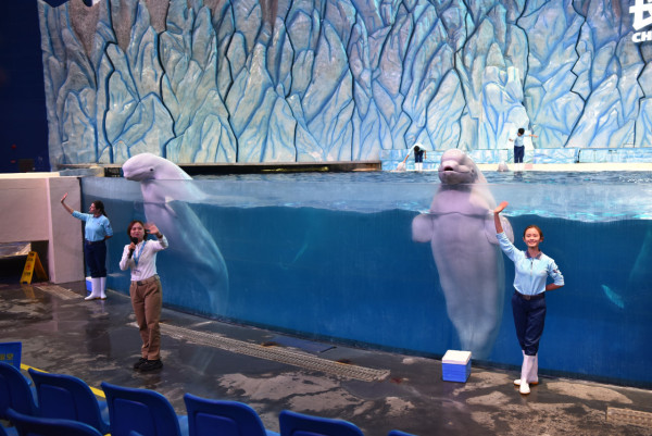 珠海5大親子好去處。資料/圖片來源：KKday、Trip.com、長隆飛船樂園、長隆海洋王國、小紅書@夏天的雨、小紅書@自轉陀螺