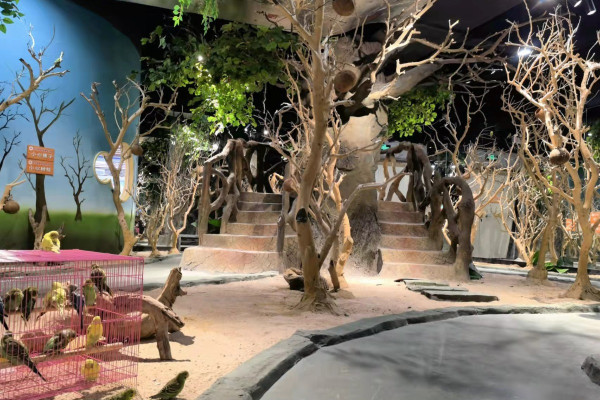 珠海5大親子好去處。資料/圖片來源：KKday、Trip.com、長隆飛船樂園、長隆海洋王國、小紅書@夏天的雨、小紅書@自轉陀螺