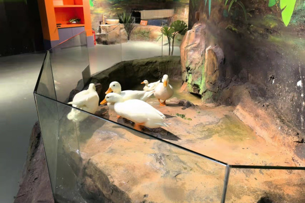 珠海5大親子好去處。資料/圖片來源：KKday、Trip.com、長隆飛船樂園、長隆海洋王國、小紅書@夏天的雨、小紅書@自轉陀螺