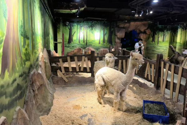 珠海5大親子好去處。資料/圖片來源：KKday、Trip.com、長隆飛船樂園、長隆海洋王國、小紅書@夏天的雨、小紅書@自轉陀螺