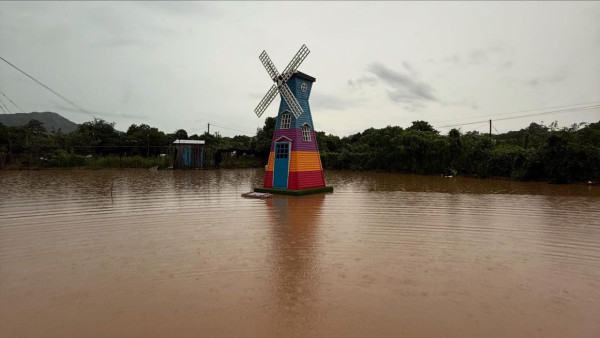 信芯園農莊暴雨下水浸！相隔兩周園區再變「汪洋」重創花田