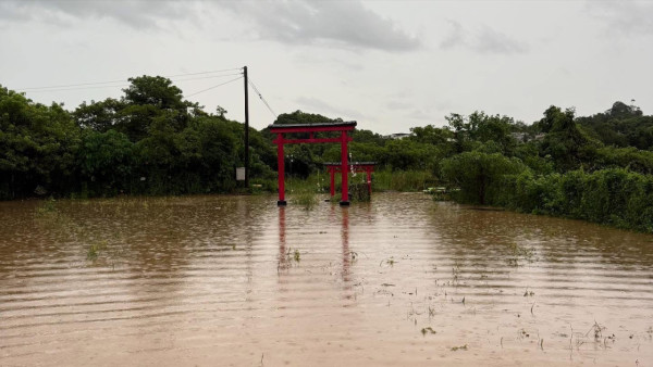 信芯園農莊暴雨下水浸！相隔兩周園區再變「汪洋」重創花田