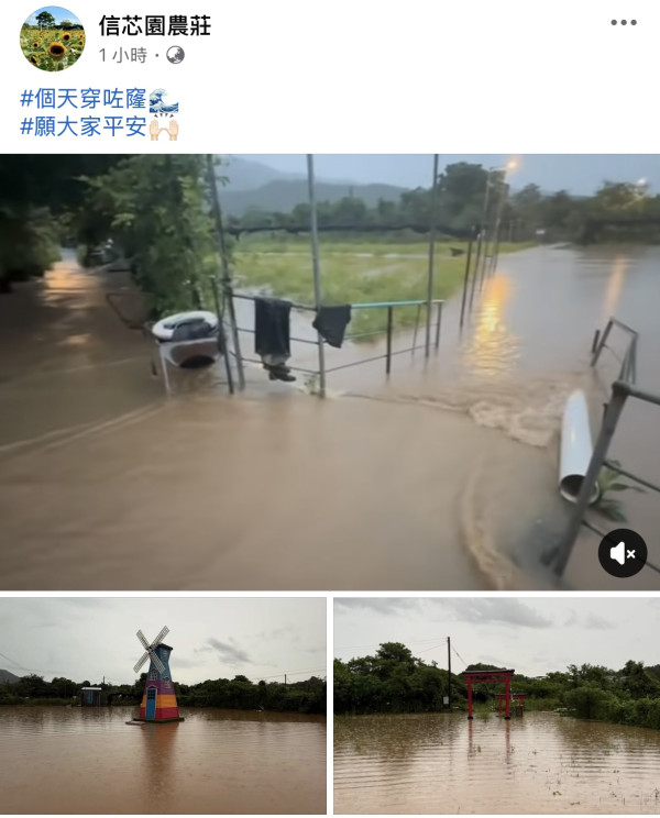信芯園農莊暴雨下水浸！相隔兩周園區再變「汪洋」重創花田