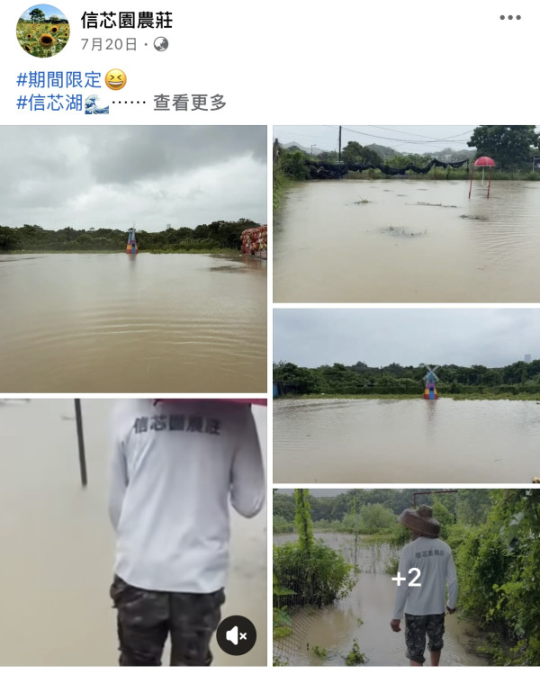 信芯園農莊暴雨下水浸！相隔兩周園區再變「汪洋」重創花田