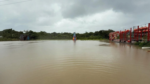 信芯園農莊暴雨下水浸！相隔兩周園區再變「汪洋」重創花田
