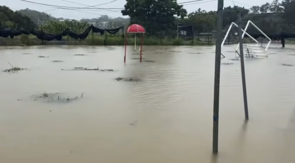 信芯園農莊暴雨下水浸！相隔兩周園區再變「汪洋」重創花田
