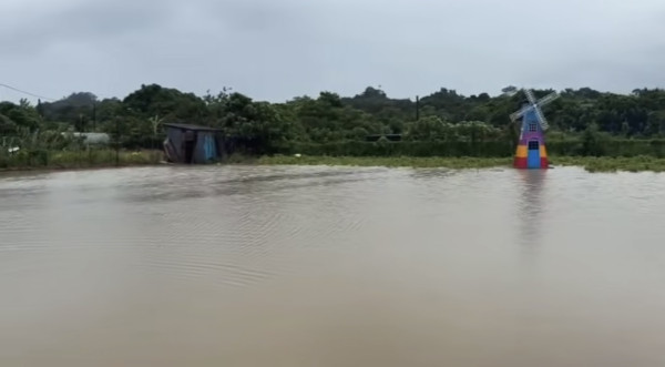 信芯園農莊暴雨下水浸！相隔兩周園區再變「汪洋」重創花田