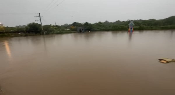 信芯園農莊暴雨下水浸！相隔兩周園區再變「汪洋」重創花田