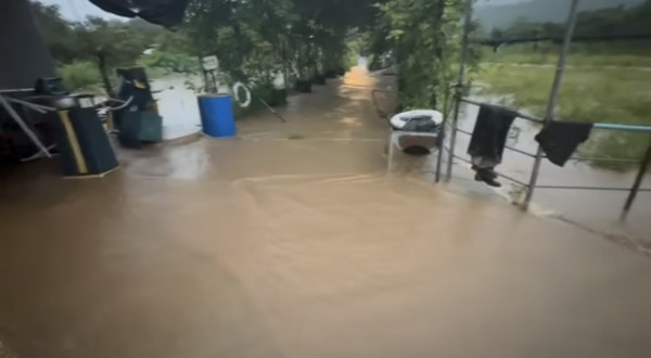 信芯園農莊暴雨下水浸！相隔兩周園區再變「汪洋」重創花田