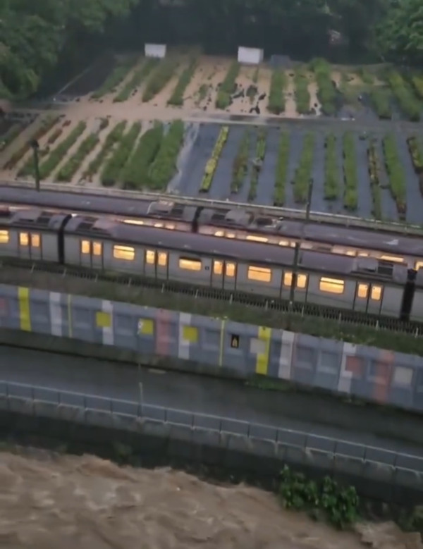 香港黑雨災情 荃灣曹公潭山洪爆發 洪水沖擊高過樹木