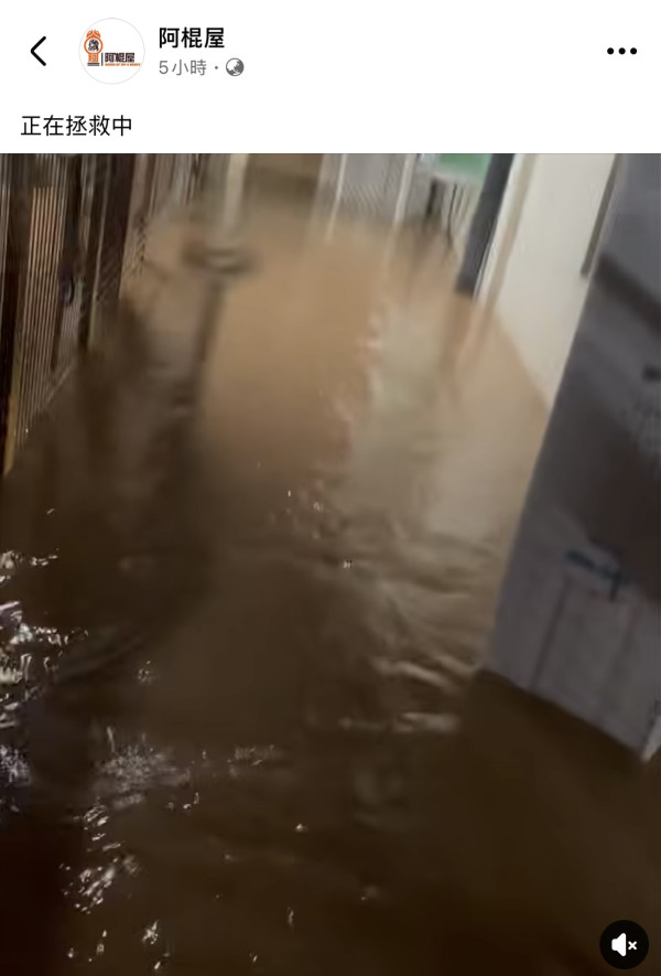 阿棍屋動物收容所暴雨水浸！雨水倒灌大批狗狗濕透成功獲救 市民感恩：平安就好