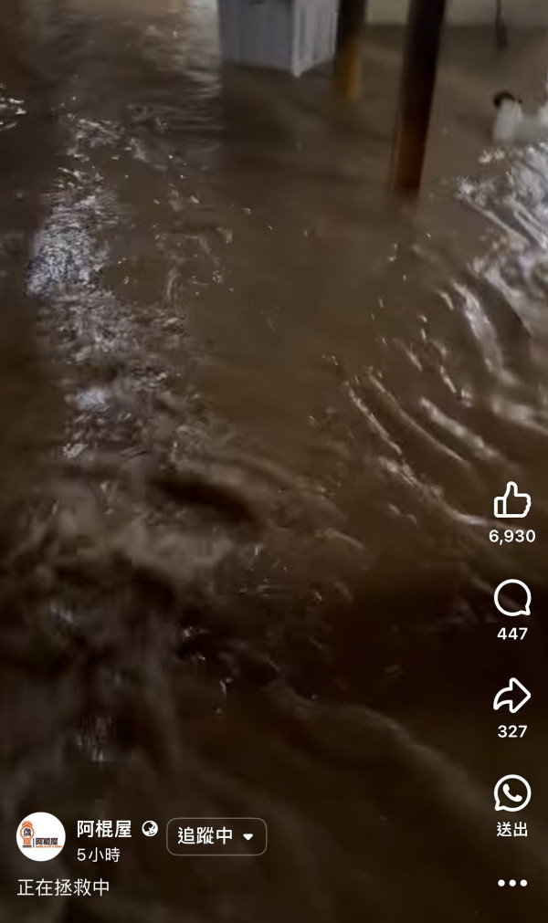 阿棍屋動物收容所暴雨水浸！雨水倒灌大批狗狗濕透成功獲救 市民感恩：平安就好