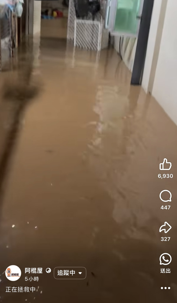 阿棍屋動物收容所暴雨水浸！雨水倒灌大批狗狗濕透成功獲救 市民感恩：平安就好