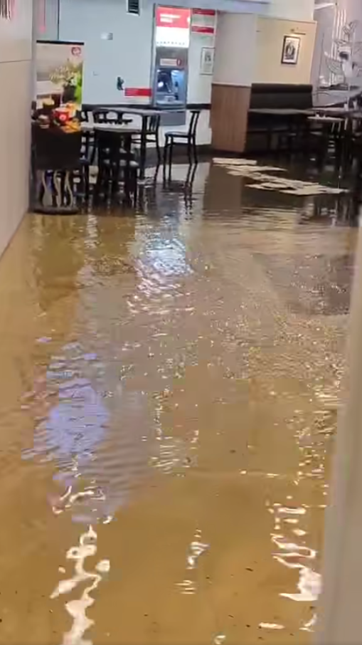 暴雨後或再迎颱風？天文台：菲律賓海域現低壓區 料本週後期移向呂宋或進入南海