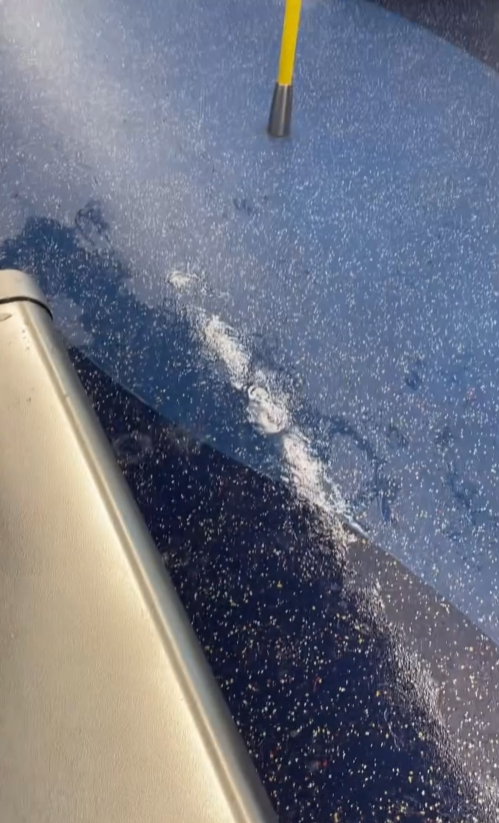 黑雨｜港鐵乘客體驗車廂瀑布 雨水連珠滴落 乘客反應成網民焦點