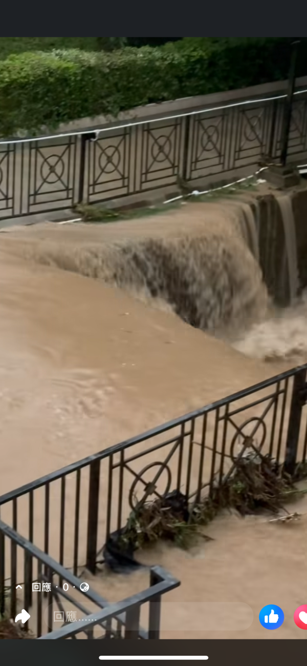 黑雨水浸｜大埔地下村屋積水浸遭殃 小魚隨暴雨入屋超誇張