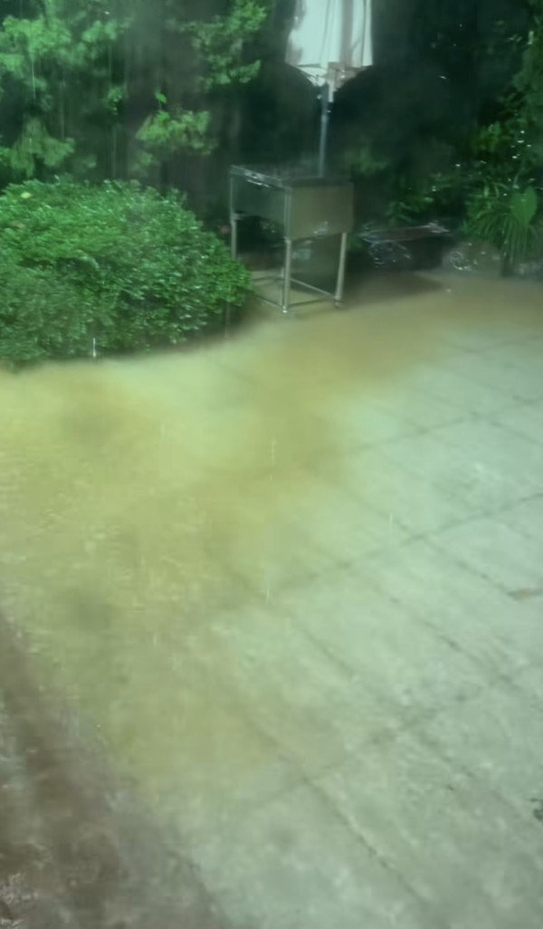黑雨水浸｜大埔地下村屋積水浸遭殃 小魚隨暴雨入屋超誇張
