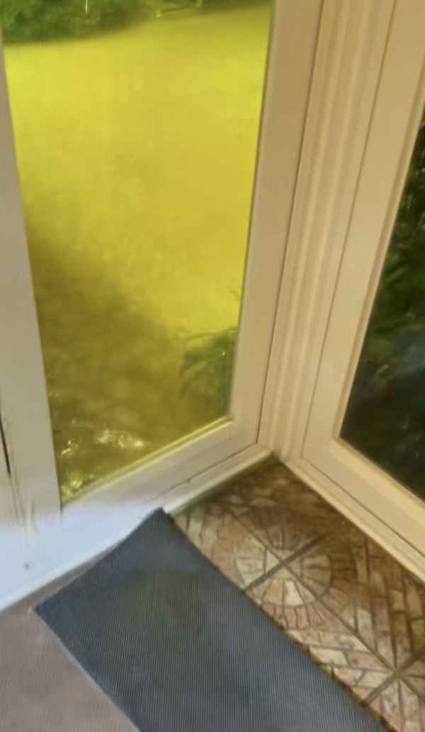 黑雨水浸｜大埔地下村屋積水浸遭殃 小魚隨暴雨入屋超誇張