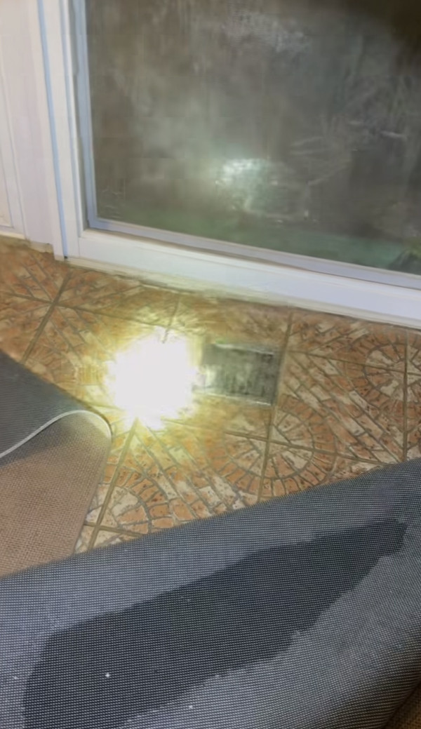黑雨水浸｜大埔地下村屋積水浸遭殃 小魚隨暴雨入屋超誇張