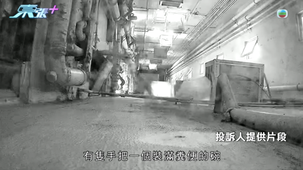 「夜香姐」連環滋擾住戶苦不堪言！CCTV揭高空潑糞惡行 當面對質竟反咬受害者
