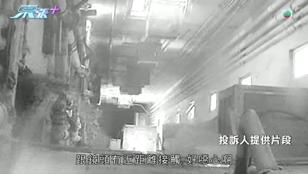 「夜香姐」連環滋擾住戶苦不堪言！CCTV揭高空潑糞惡行 當面對質竟反咬受害者