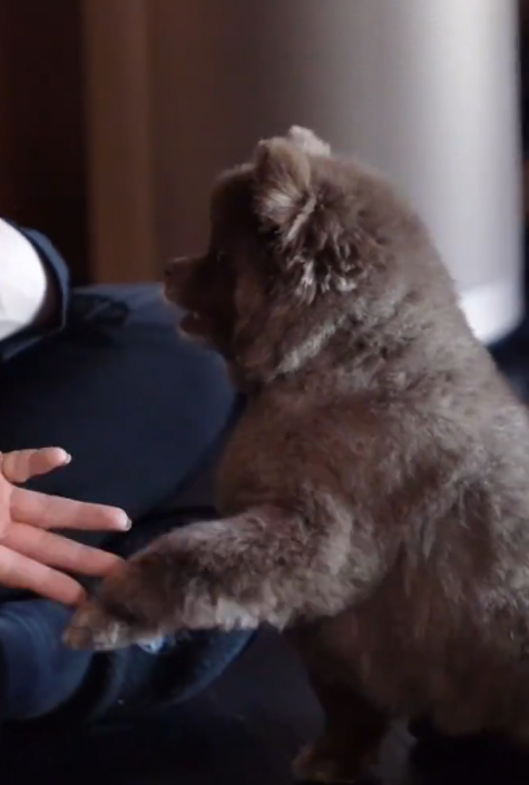 送愛馬仕迷你包包（圖片來源：小紅書@鍾欣潼）