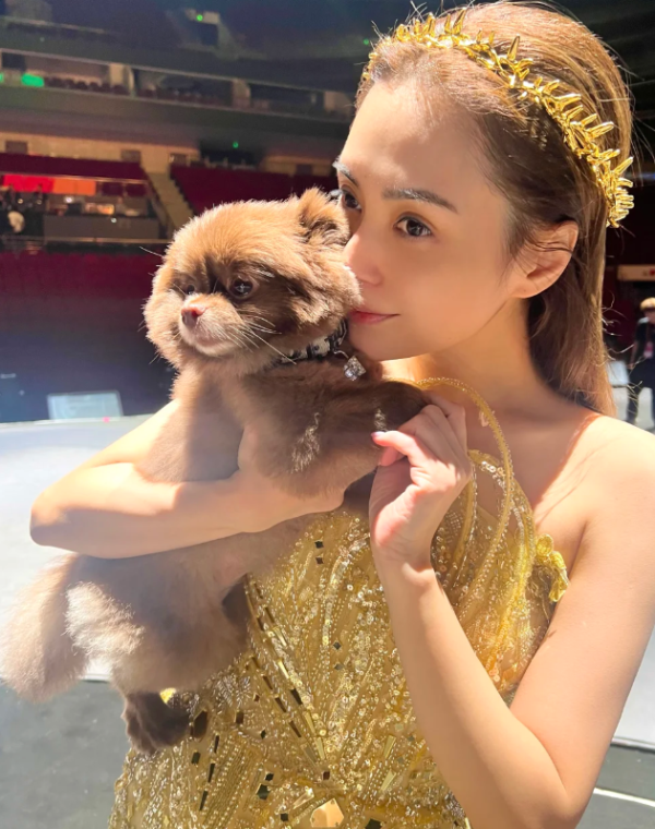 愛犬Kuma奢華打扮（圖片來源：小紅書@鍾欣潼）