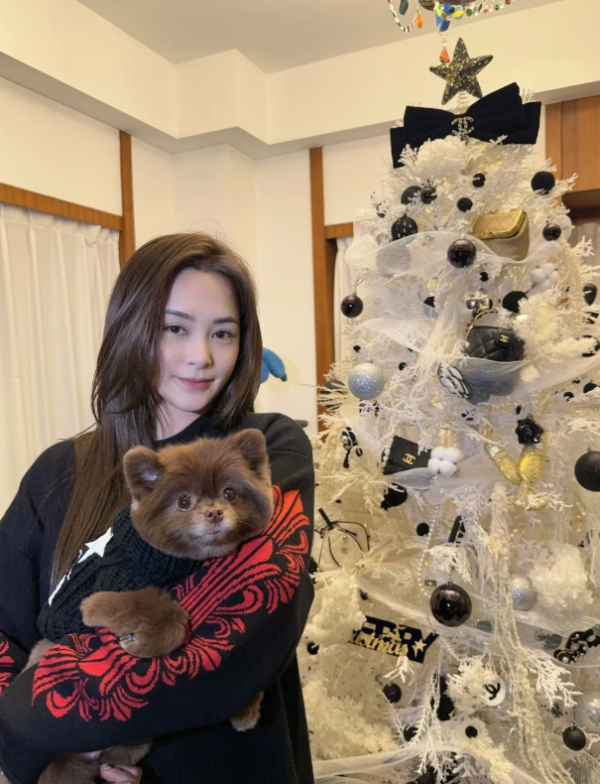 愛犬Kuma奢華打扮（圖片來源：小紅書@鍾欣潼）